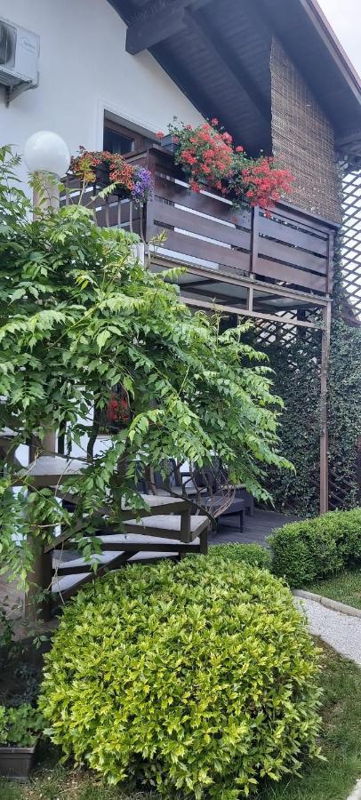 ホテル Alexander House デヴァ エクステリア 写真